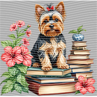 Animal Integration-DW 291